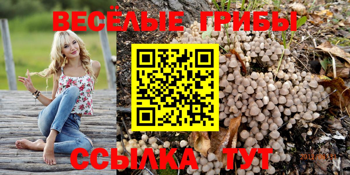 Моздок  Псилоцибиновые грибы MAGIC MUSHROOMS  Псилоцибиновые грибы мицелий  Вход с VPN 